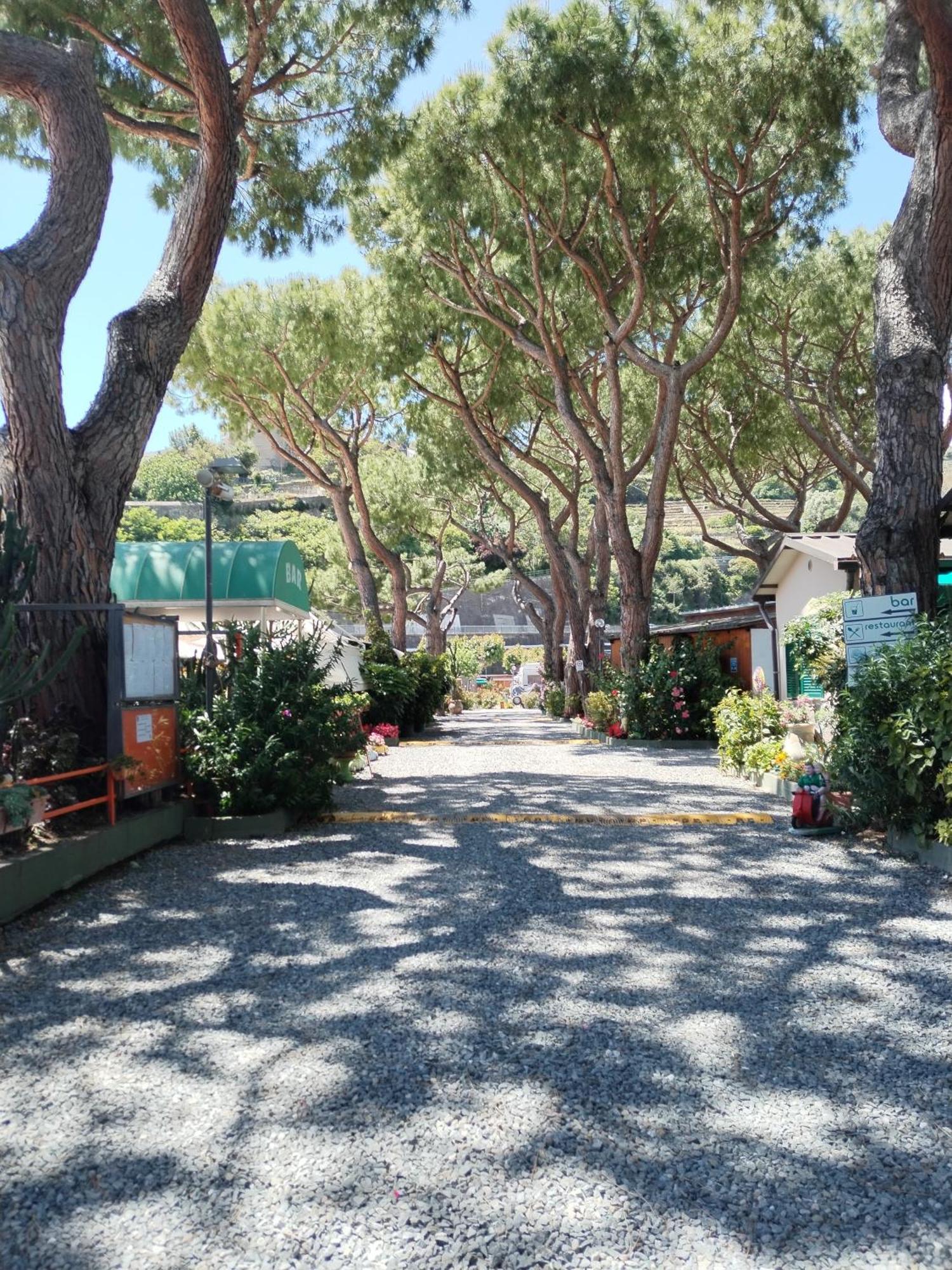 Camping Roma Vintimille Extérieur photo