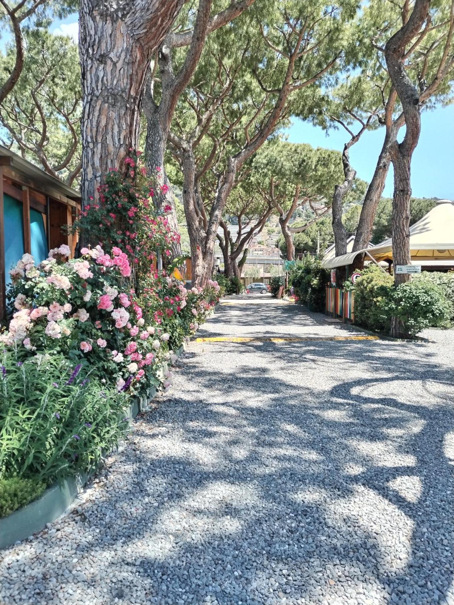 Camping Roma Vintimille Extérieur photo