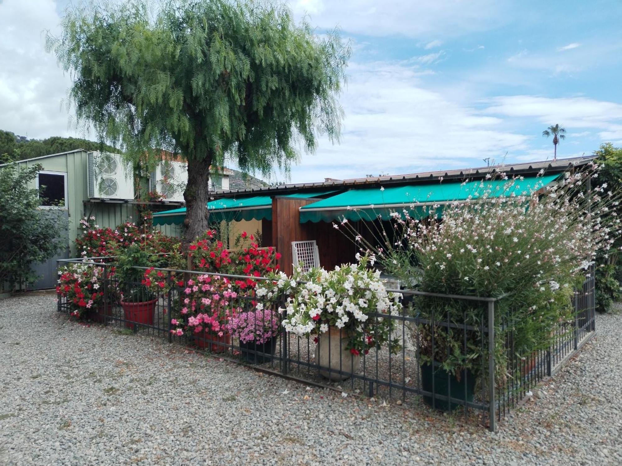 Camping Roma Vintimille Extérieur photo