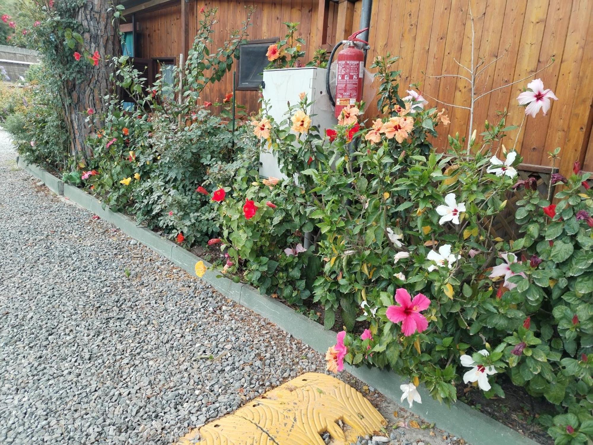 Camping Roma Vintimille Extérieur photo